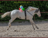 1-13JUIN 1262